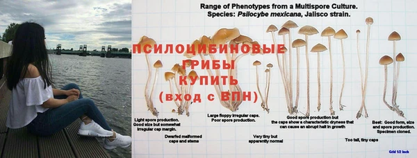 соль ск Богданович